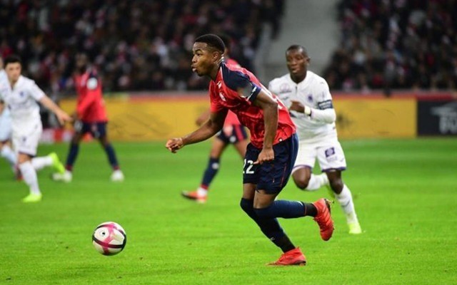 比的渴望和 比的渴望和