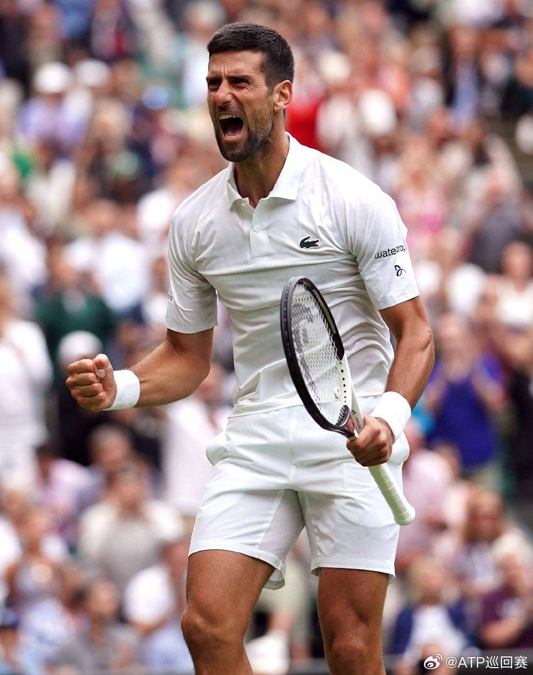 团队运动 团队运动